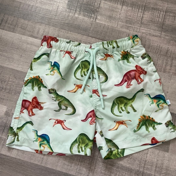 Posh Peanut Green Dinosaur Swim Trunks - Picture 1 of 3